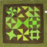 Junior
Honorable Mention
Entered by:	Emily Heitschmidt
	Nazareth, TX
Made by:	Emily Heitschmidt
Quilted by: 	Emily Heitschmidt
Pattern by:  	Traditional
Pattern Name:	Sampler
Made for my 4-H quilt project.